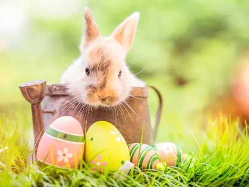 20 nápadů na tvůrčí a zábavné Velikonoce: trhy, prohlídky a programy pro děti