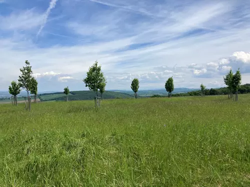 Zdroj foto: mapy.cz, autor Rodinka Jurakova