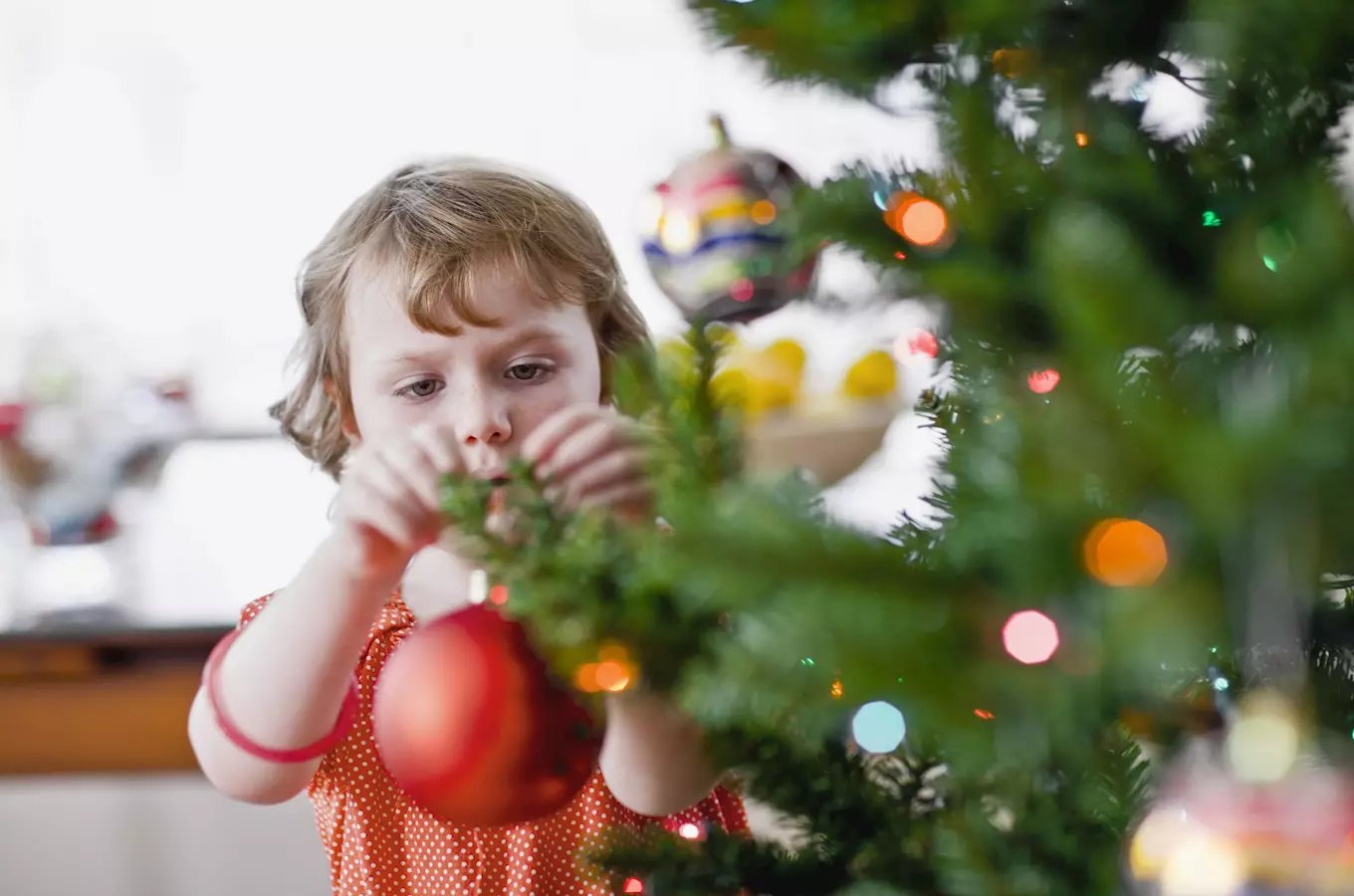 Stromečku vstávej... – vánoční výstava v Domku Boženy Němcové