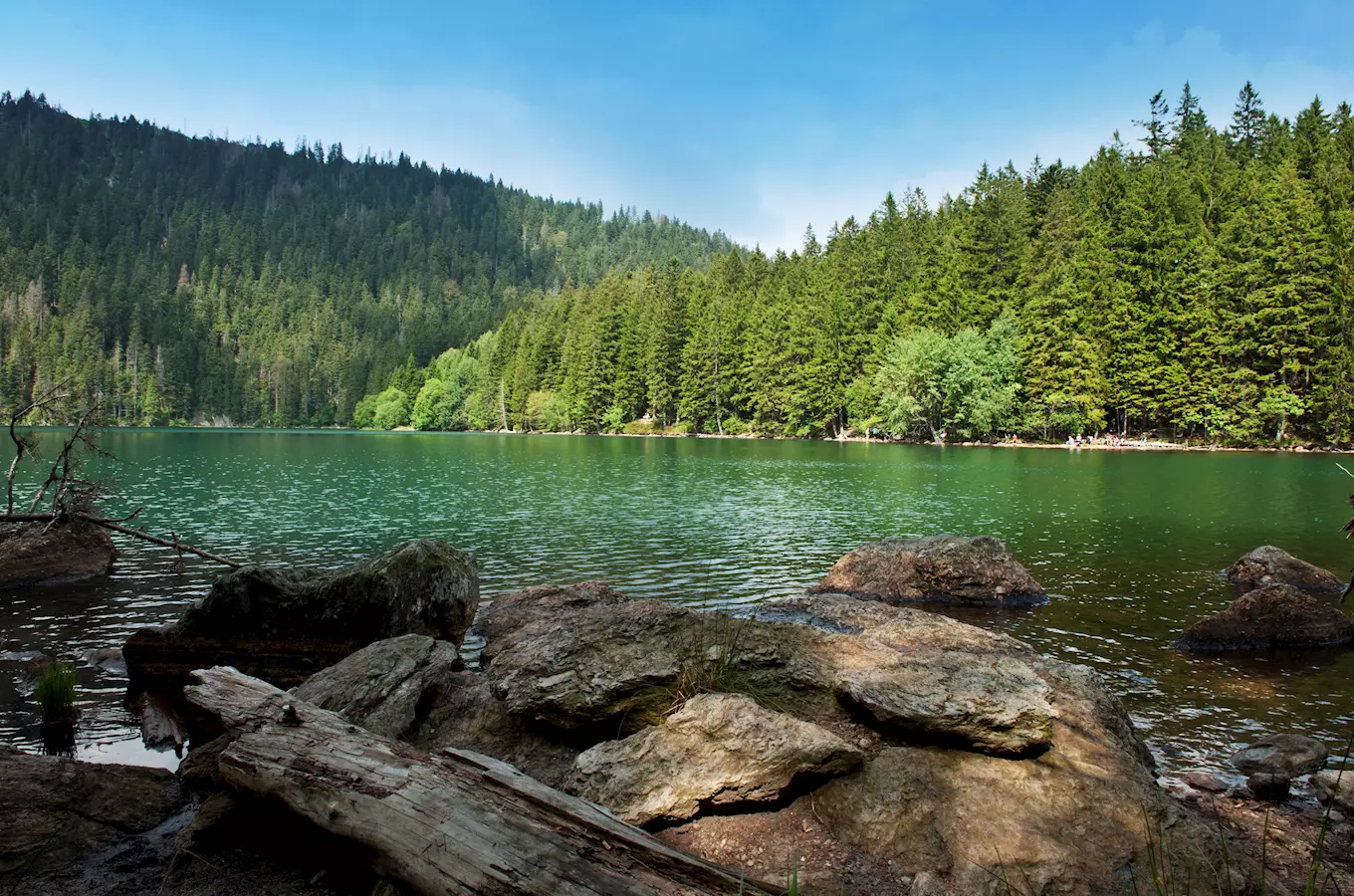 Černé jezero na Šumavě – největší přírodní jezero České republiky