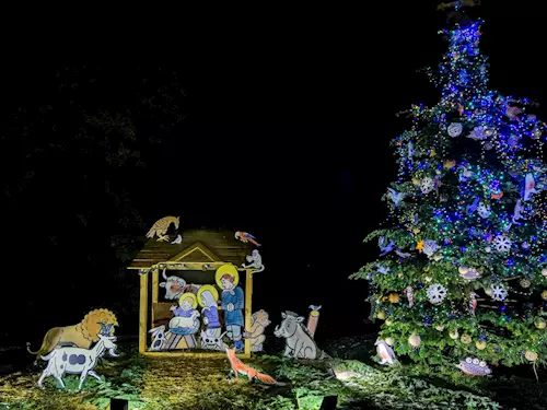 O víkendu se v Zoo Praha rozsvítí vánoční strom