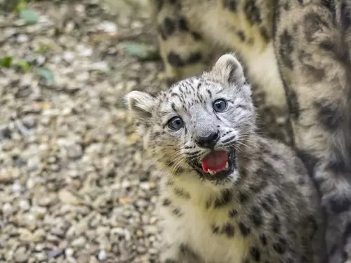 Návštěvu v Zoo Jihlava si užijete v zimě i za tmy