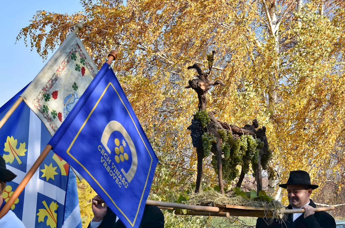 Podzim plný skvělé zábavy! Tady jsou nejlepší koncerty, výstavy a festivaly, které nesmíte zmeškat v