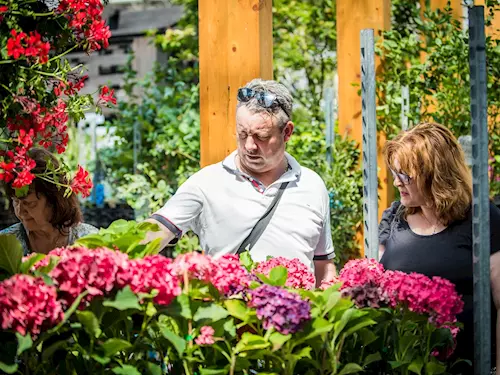 Letní květinová výstava Floria v Kroměříži vzdá poctu vozům Škoda