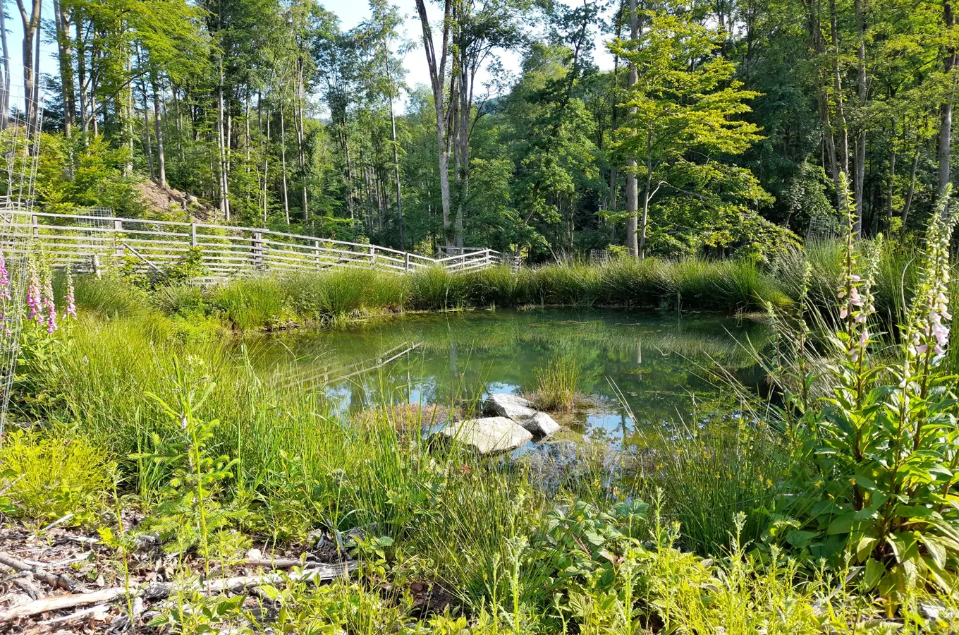 Přírodní park Zelenov