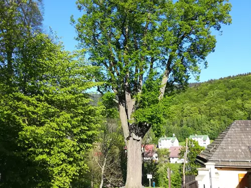 Zdroj foto: mapy.cz, autor Jirka Kliner