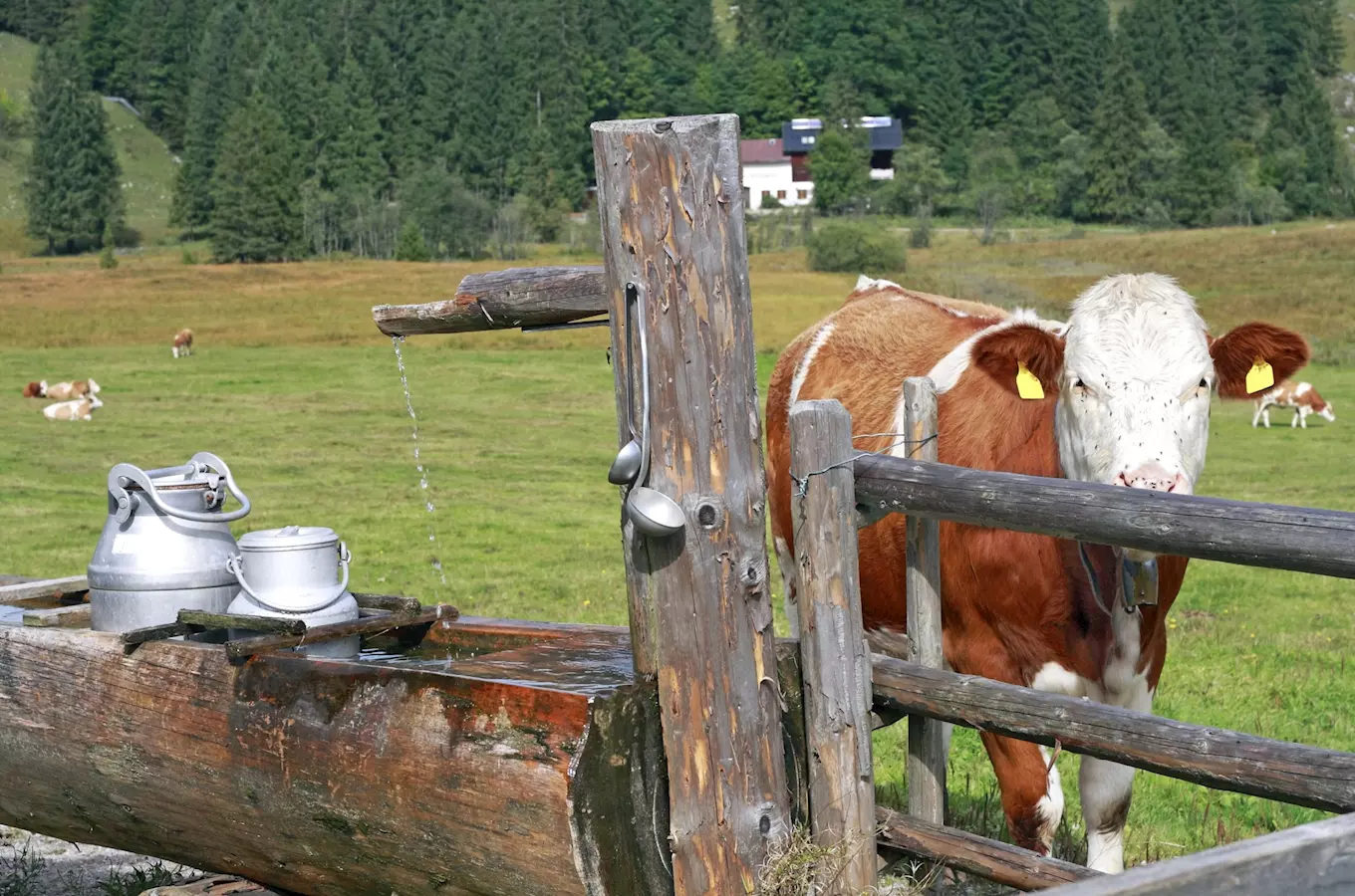 Ukažte detem, jak se žije na venkove a približte jim život farmáru