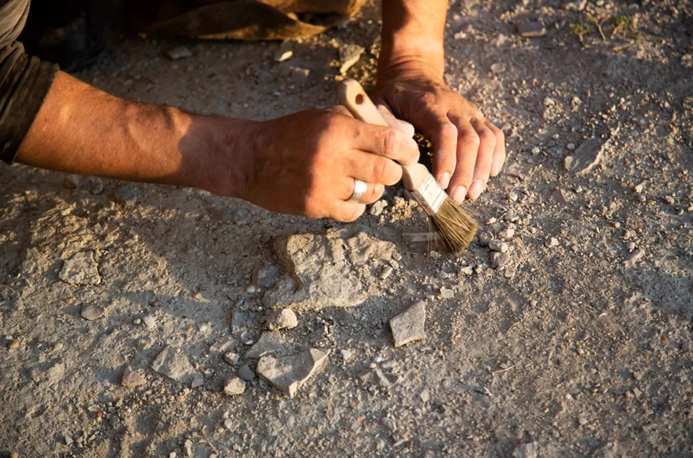 Mezinárodní den archeologie na hradišti Dřevíč u Kozojed