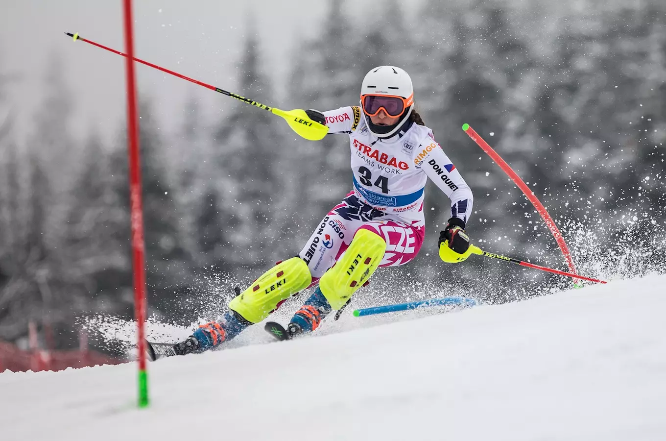 Světový pohár žen v alpském lyžování