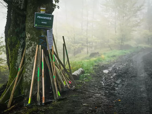 Den za obnovu lesa 2022 Liberecký kraj