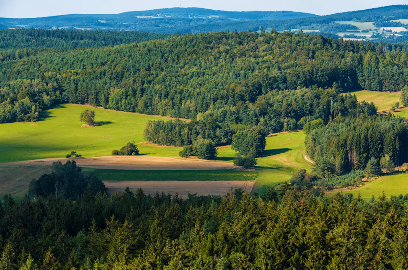 Rozhledna U Jakuba na Havlově hoře