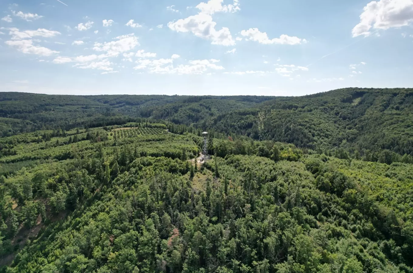 Rozhledna U Lidušky