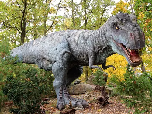 DinoPark Plzeň – s vyhlídkou u Brachiosaura