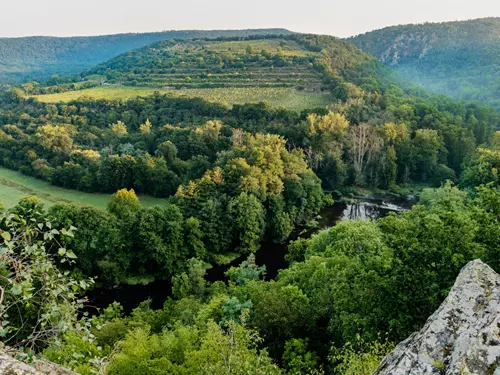 Vinice Šobes – jedna z nejstarších a nejlepších evropských vinic