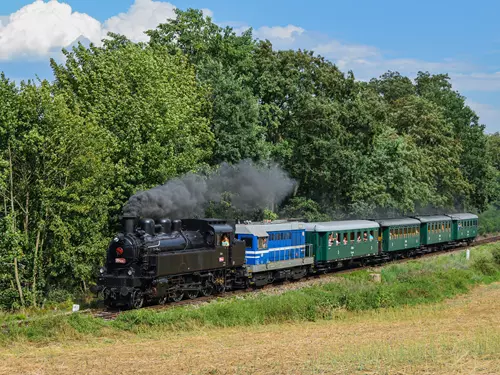 Parní vlak s lokomotivou 354.195 Všudybylka