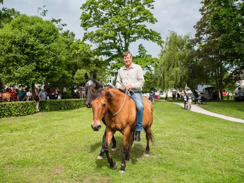 Den koně v Lomnici nad Popelkou