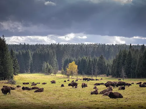 Přírodní park Česká Kanada