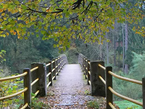 Stezka Best of Europe: Údolím Lužnice z Plané nad Lužnicí do Týna nad Vltavou 