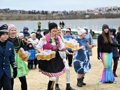 Karneval otužilců v Plzni