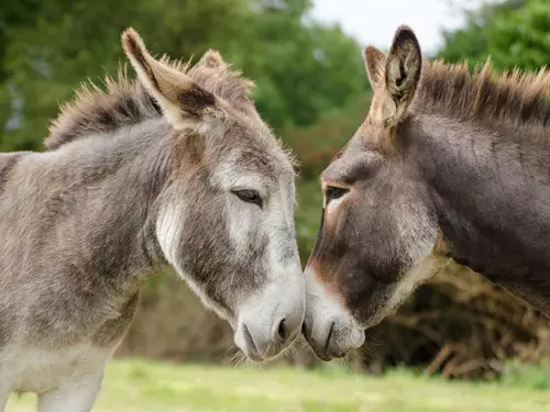 Zoo a zooparky, Kudy z nudy, Středočeský kraj