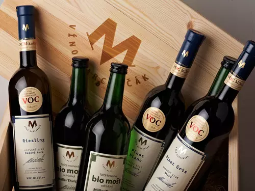 Degustace biovín vinařství Víno Marcinčák