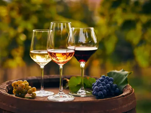 Svatomartinské vinobraní v Třeboni 2025