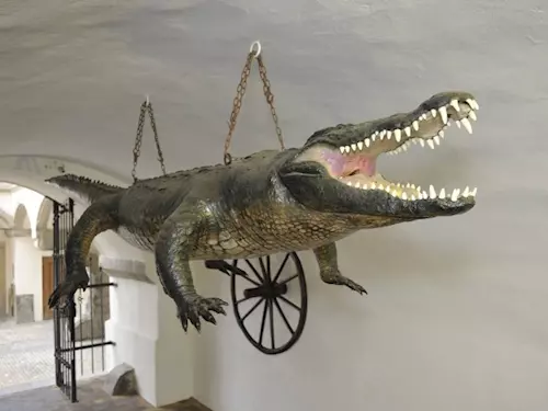Brněnský drak – symbol města Brna 