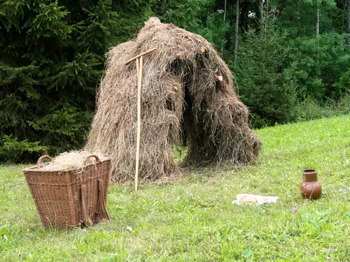 Muzeum v přírodě Vysočina