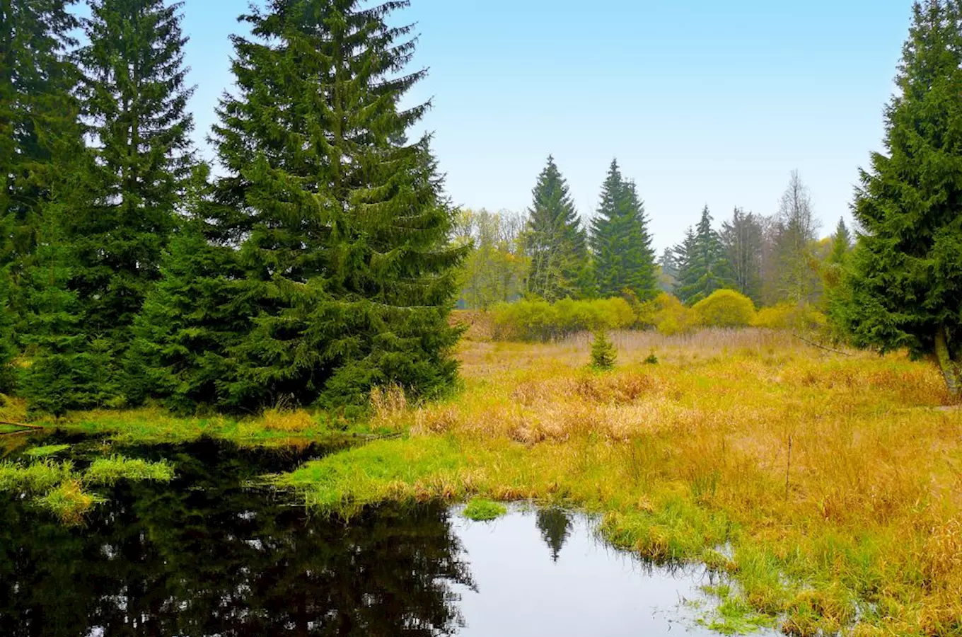 Kaiserwald Poznejte nejvýznamnější místa Slavkovského lesa a Dům přírody Kladská ...