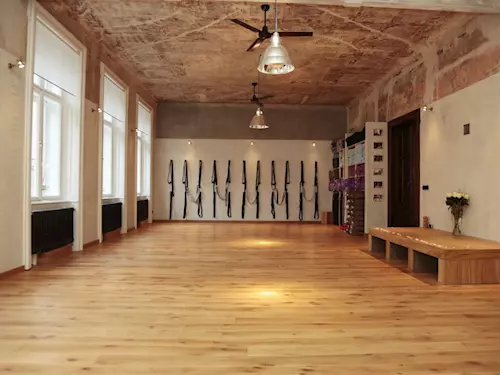Iyengar Yoga Institut Praha