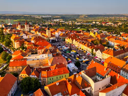 Žatecká Dočesná 2025