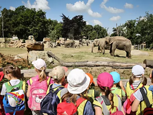 Zoo Praha zve na Den dětí i bongů