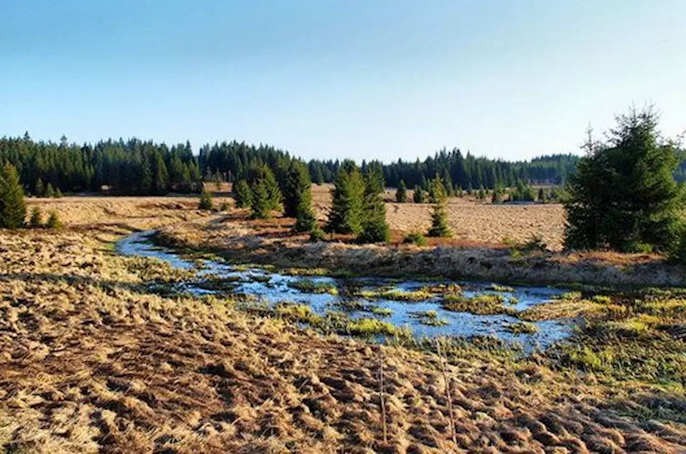 Přírodní park Přebuz