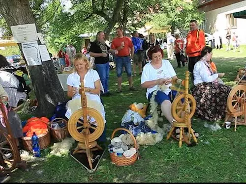 Ovcácké slavnosti v Borovanech