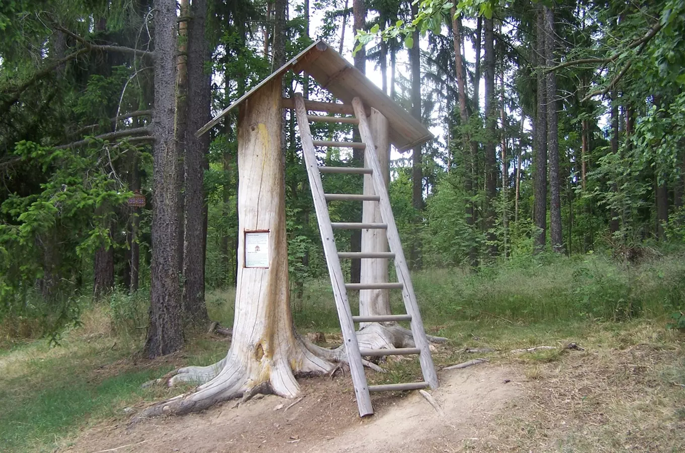 Cesta pohádkovým lesem u Slavonic – turistická trasa pro děti