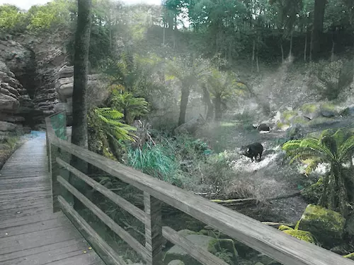 V pražské zoo začala stavba expozice pro „tasmánské čerty“