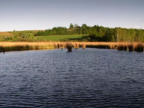 Chráněná přírodní rezervace Vidnavské mokřiny