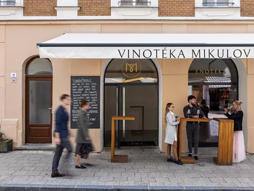Degustace vín z vinařství Kořenek