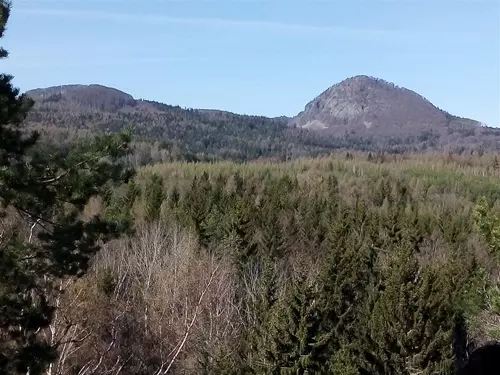 Borský vrch – vyhlídka Jelení skok