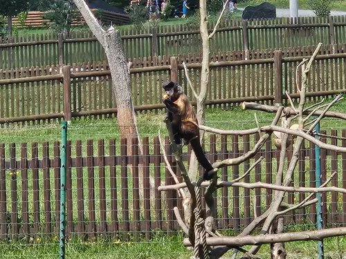 Zoo Tábor