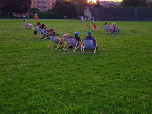 Rozzum v divočině