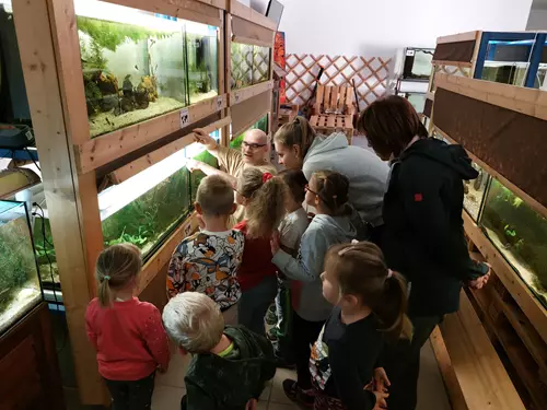Veřejné akvárium v České Lípě