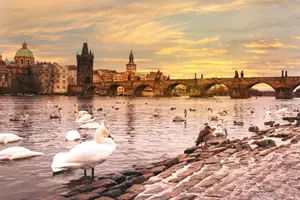 Karlův most v zimě