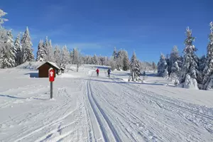 Běžky v Krušných horách