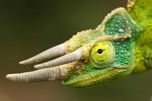 zoo zájezd