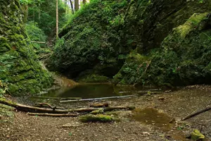 Bubovická tůň