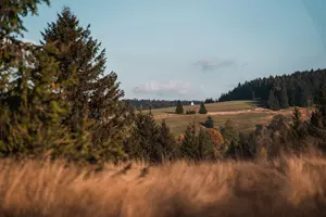 Podorlická pivní stezka