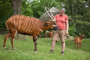 den dětí zoo praha