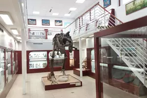 Carnotaurus