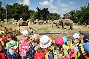 den dětí zoo praha